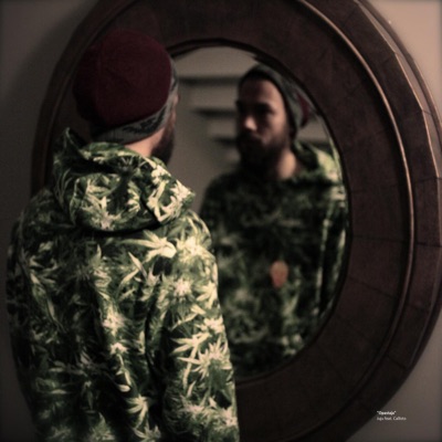 Opastaja (feat. Callisto) - Single