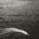 Miles Whittaker - Plutocracy