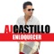 Enloquecer - AJ Castillo lyrics