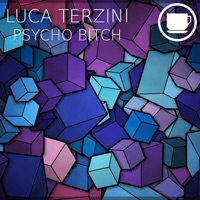 Psycho Bitch - Single - Luca Terzini
