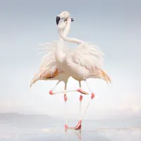 Attak (feat. Danny Brown)