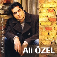 Ali Özel - Gönül Kervanı