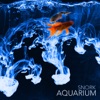 Aquarium artwork