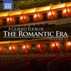 Dong Suk Kang Violin Sonata No. 1 in A Major, Op. 13: I. Allegro molto A Guided Tour of the Romantic Era, Vol. 13