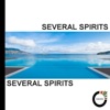 Several Spirits - Fruit Cocktails (Original Mix)