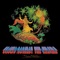 Hijack - Paul Kantner lyrics