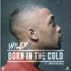Born In the Cold (feat. Andreena Mill) - Single
