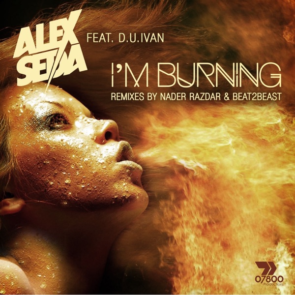 I'm Burning (feat. D. U. Ivan) - Single