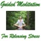 10 Minutes Guided Meditation for Releasing Stress - Guided Meditation lyrics
