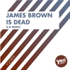 James Brown Is Dead (A.R. Remix) - DJ Kee