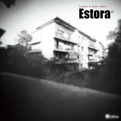 Posłuchaj utworu Oleta EP wykonywanego przez Suntetic & Sasha Makin.