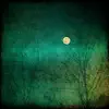 Tom Caufield - Shadow Casting