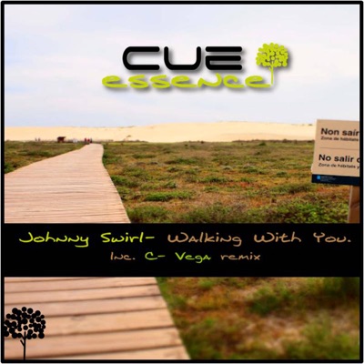 Walking With You - Single