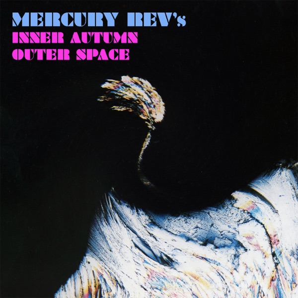 Inner Autumn Outer Space - Mercury Rev