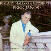 Asszonykám: Kislány, hallod a muzsikát artwork