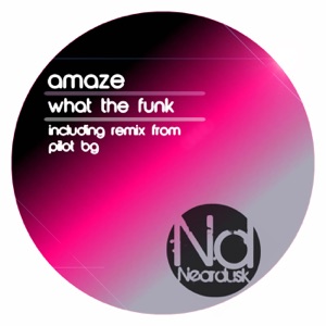 What the Funk - Single