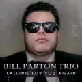 Falling For You Again