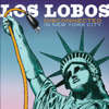 La Bamba / Good Lovin' (Live) - Los Lobos