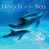 Angels of the Sea 30th Anniversary - Dan Gibson's Solitudes