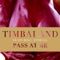 Pass At Me (feat. Pitbull) - Timbaland lyrics