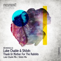 Thank Ur Mother For The Rabbits - Single - Luke Chable & Shiloh