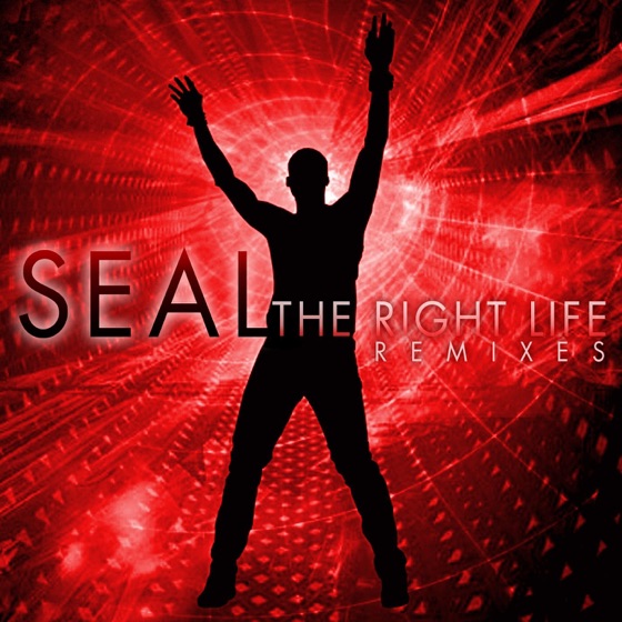 Cover artwork for The Right Life (Eddie Amador's USA Radio Edit)
