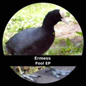 Fool - Single