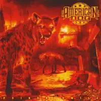 Old Dog, New Tricks — American Dog