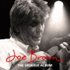Joe Brown - I'll See You In My Dreams artwork