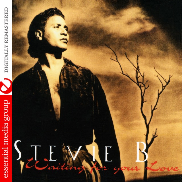 Stevie B - Dream About You