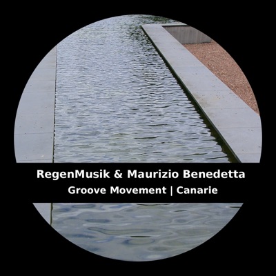 Groove Movement  Canarie - Single
