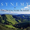 Synemy artwork