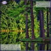 Forest Elixir - Single, 2012
