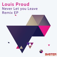 Never Let You Leave remix EP - Louis Proud