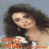 Ayşe Mine - Gittin Zamansız