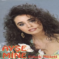 Ayşe Mine - Gittin Zamansız