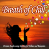 Throwing All Away (Ed Van Harris Mix) - The Sheeran