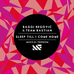 Baggi Begovic - Sleep Till I Come Home