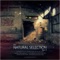 Defected (Michael McLardy Remix) - Xiasou lyrics
