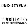Pilar Montenegro