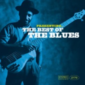 John Lee Hooker - Goin' Mad Blues