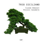 Rain - Trio Siciliano