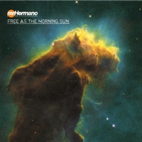 Capoeira Love Affair