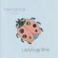 Bumblebee Lullabye
