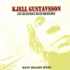 Kjell Gustavsson - Sort Things Out