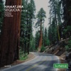 Sequoia - Single