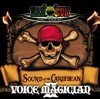 VOICE MAGICIAN II ジャケット写真