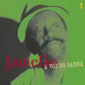 Apoteose ao samba