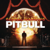 Pitbull - Feel This Moment (feat. Christina Aguilera) Grafik
