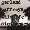 Garland Jeffreys